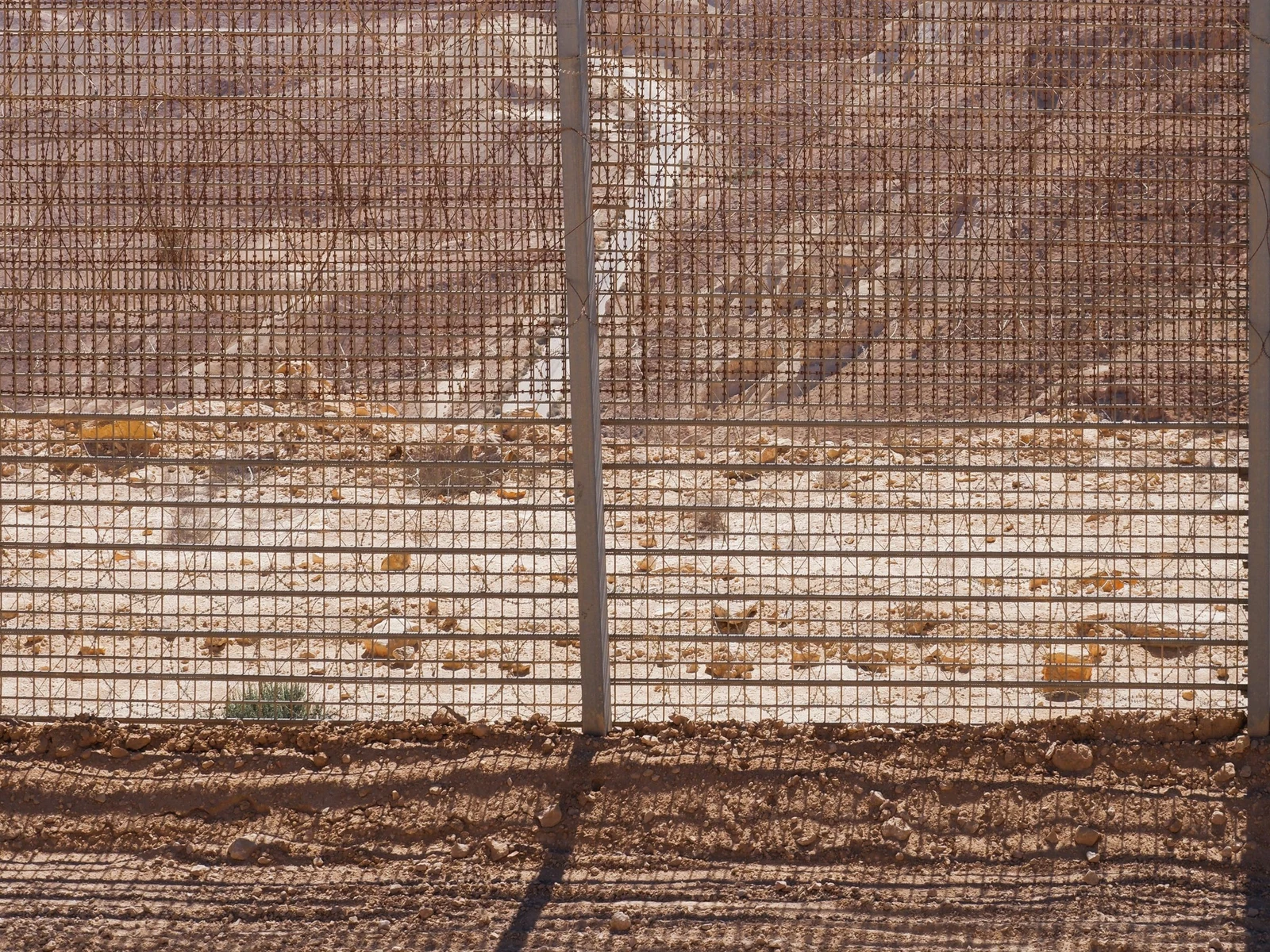 Fine-aperture anti-climb mesh with coil above