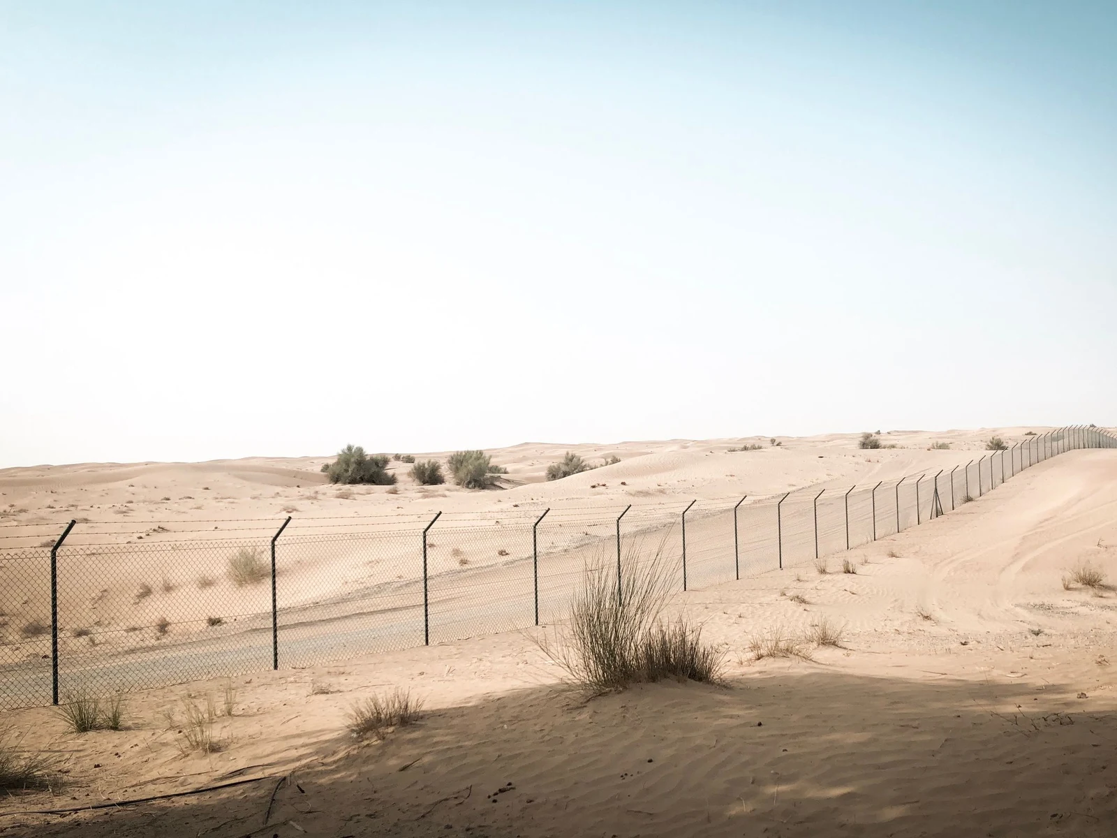 A sand fence carried across open dunes