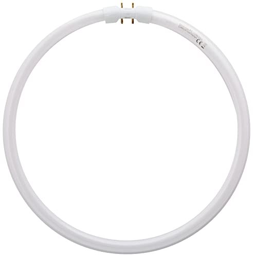 Osram Fc 55 Watt 2Gx13 Circular Ring Lamp (Daylight / Warm White) - 55 Watts / Warm White